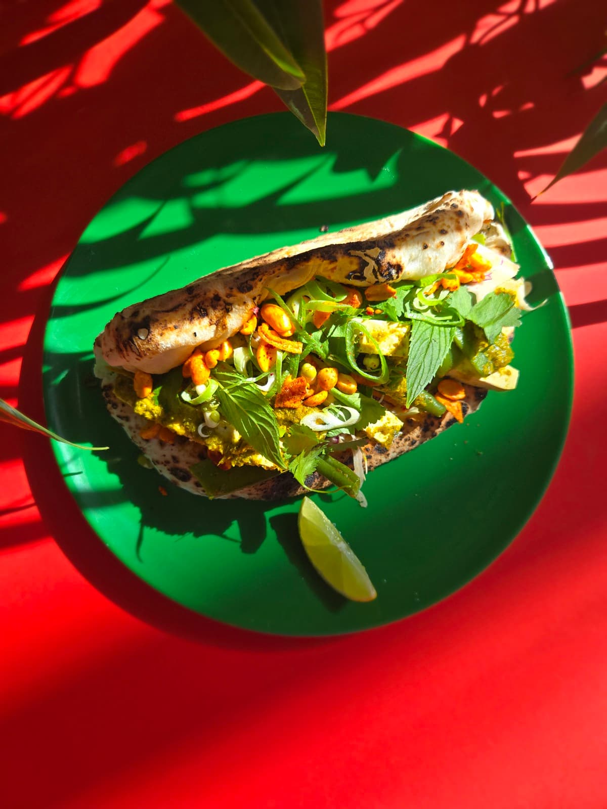 Thai High Ozzo with green-curry tofu, top-down on a red background