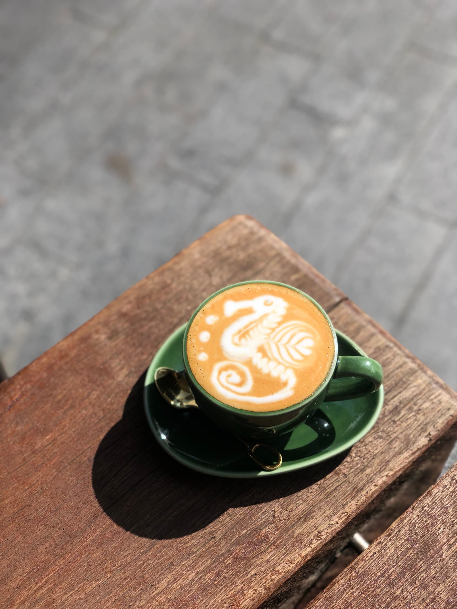 A Five Senses latte with seahorse art — coffee before a matinee at the Lyric