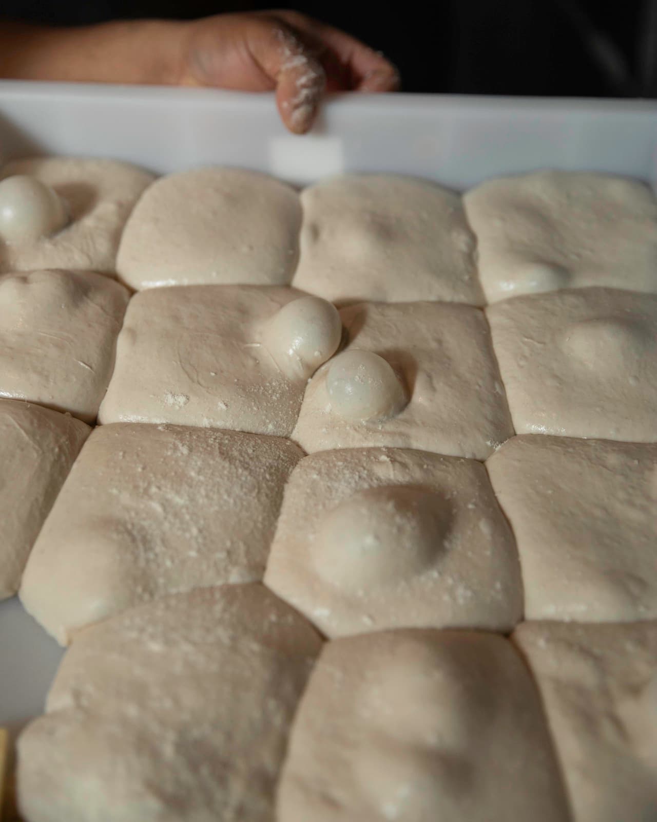 A tray of squared Ozzo dough portions resting mid-ferment, pillowy and dusted with flour