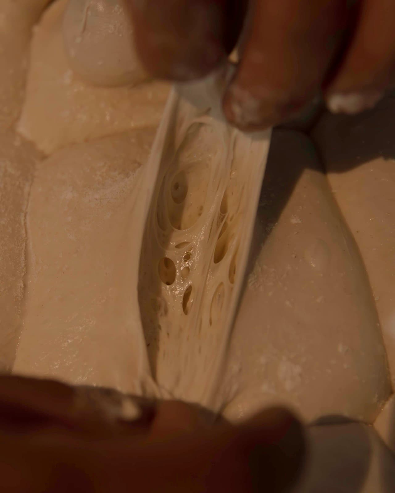 An Ozzo torn open to reveal its crumb — a web of large, irregular air pockets from the 72-hour ferment